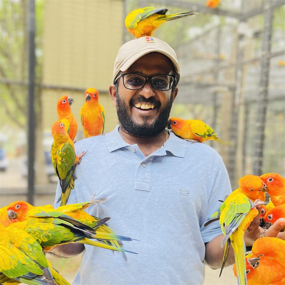 Nimesh Madushanka smiling, surrounded by sun conure parrots
